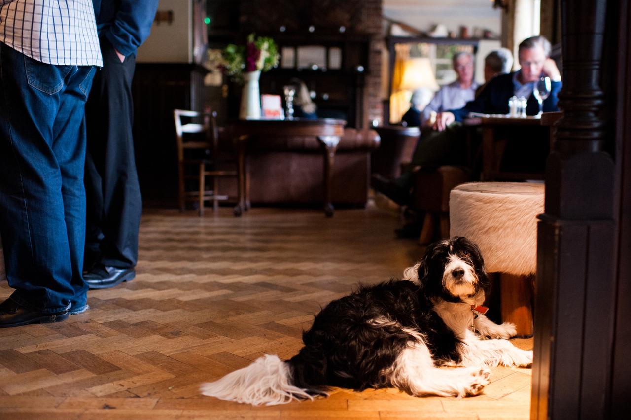 The Thomas Lord Hotel West Meon Eksteriør billede